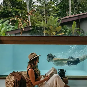 casa-pohon-ubud.ubudhotelsnow.com/